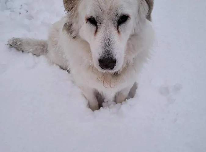 Casa Adelona Prázdninový dům *